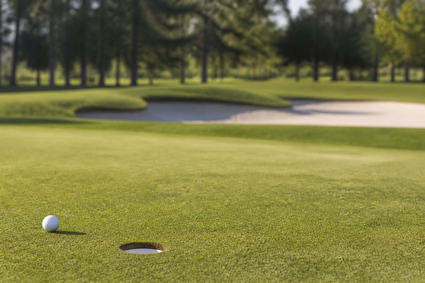 02 Around the green : Golf Terms Defined: Ball Flight, Rules, Handicap and Equipment
